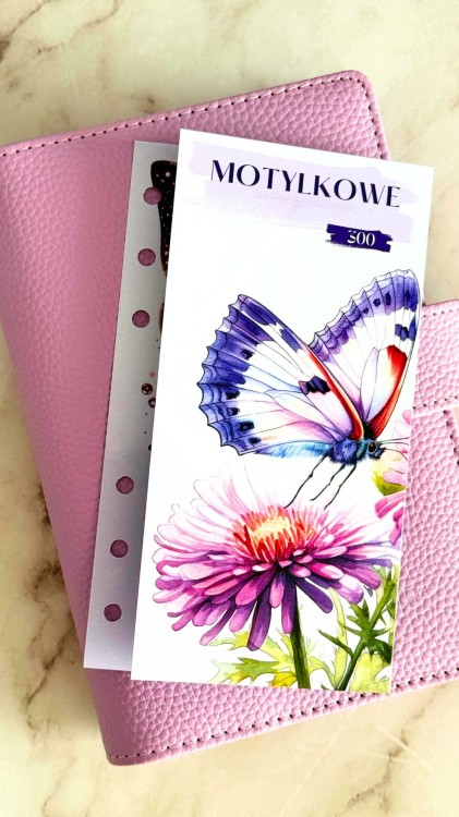 Motylkowe marzenia 1.jpg