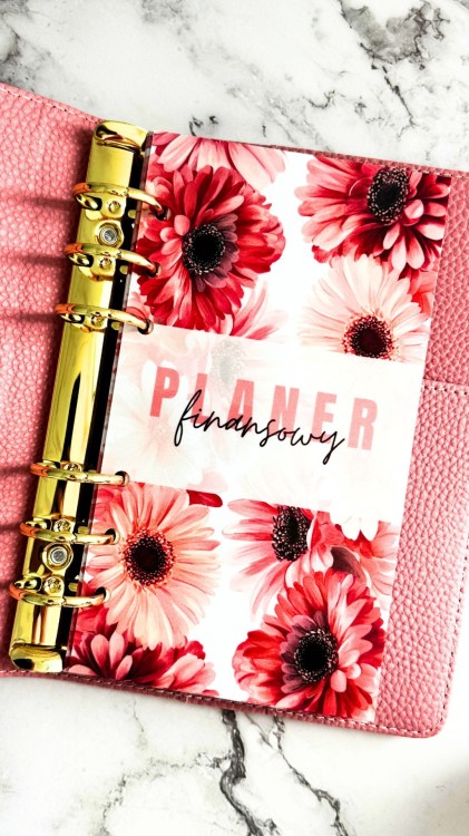 PLANER FINANSOWY WPINANY 1.jpg