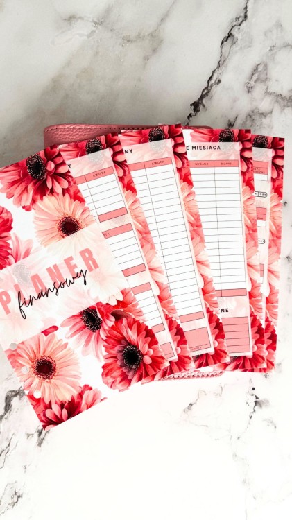 PLANER FINANSOWY WPINANY 2.jpg