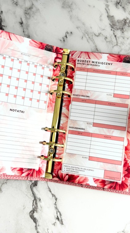 PLANER FINANSOWY WPINANY 3.jpg