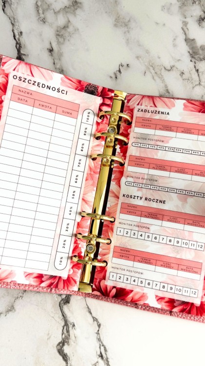 PLANER FINANSOWY WPINANY 4.jpg