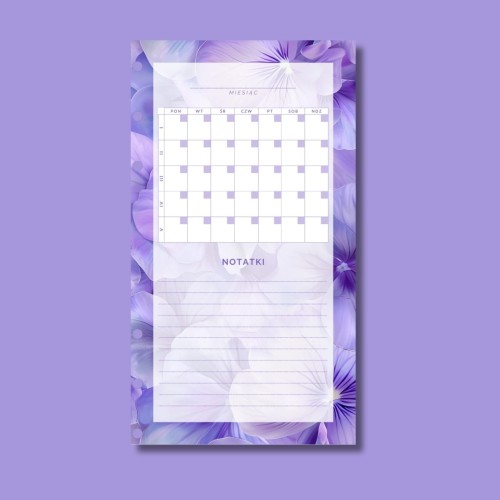 PLANER FINANSOWY WPINANY AMETYST 2.jpg