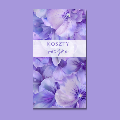 PRZEKŁADKI AMETYST.png