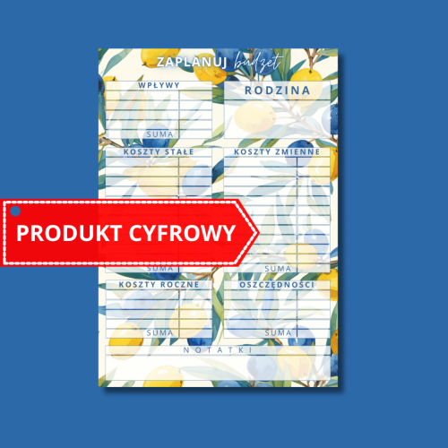 CYFROWA KARTA PLANOWANIA BUDŻETU OLIWKA.png