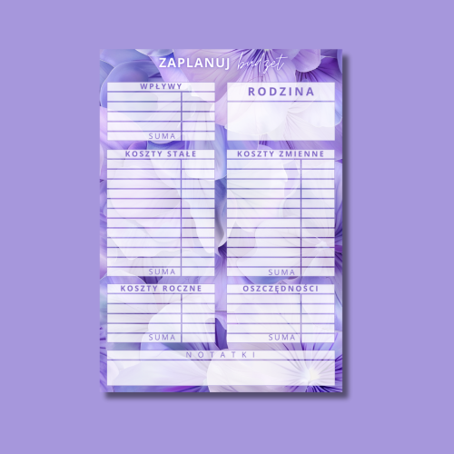 KARTA PLANOWANIA BUDŻETU AMETYST.png