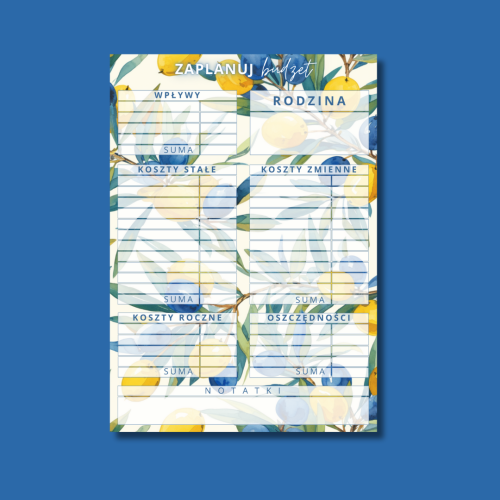 KARTA PLANOWANIA BUDŻETU OLIWKA.png