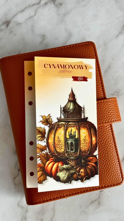Cynamonowy plan 1.jpg