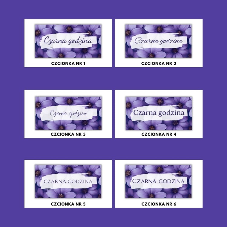 KARTY KATEGORII FIOLET.jpg