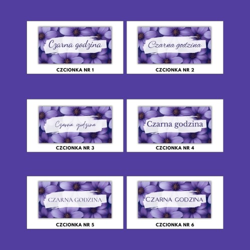 KARTY KATEGORII FIOLET.jpg