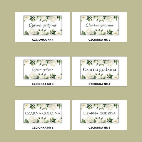 KARTY KATEGORII BIAŁA PIWONIA.jpg