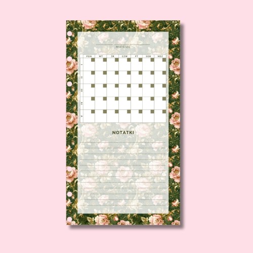 PLANER FINANSOWY WPINANY LIWIA 2.jpg