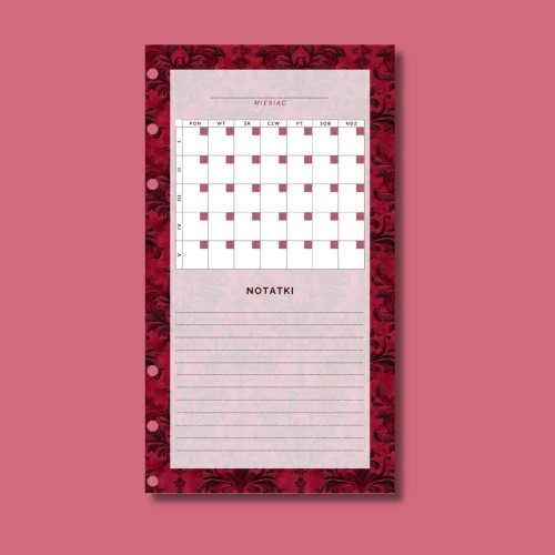 PLANER FINANSOWY WPINANY AMARENA 2.jpg