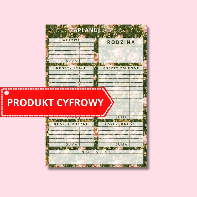 CYFROWA KARTA PLANOWANIA BUDŻETU LIWIA.jpg