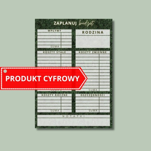 CYFROWA KARTA PLANOWANIA BUDŻETU SZMARAGD.jpg