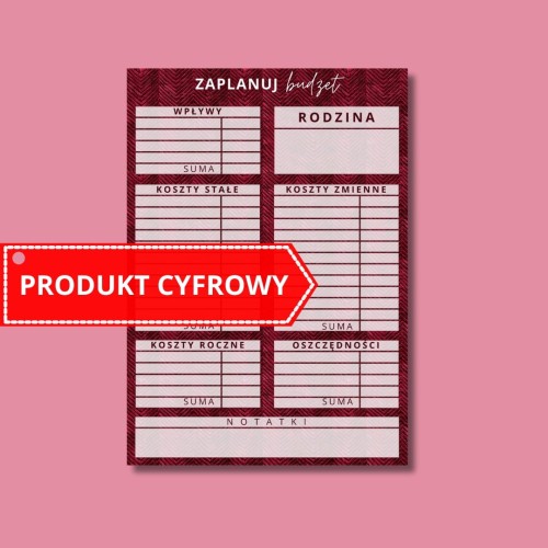 CYFROWA KARTA PLANOWANIA BUDŻETU RUBIN.jpg