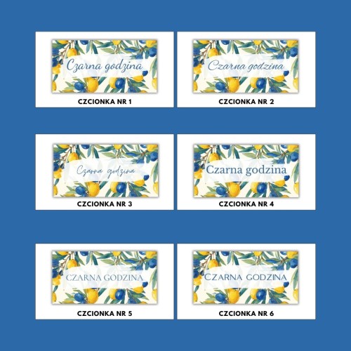 KARTY KATEGORII OLIWKA.jpg