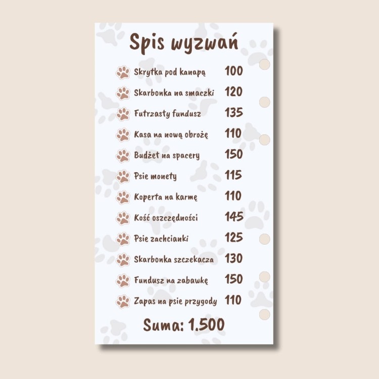 2. Kasa na smaczki spis wyzwań.jpg