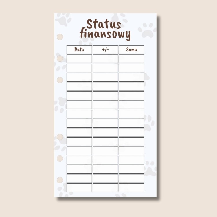 15. Kasa na smaczki status finansowy.jpg